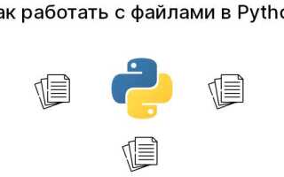Как вывести служебную информацию о пакете python