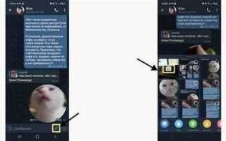 Как снять видео сообщение в telegram