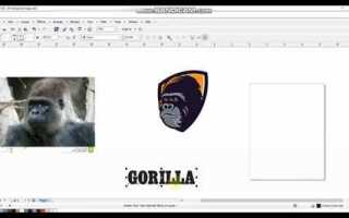 Как скачать и активировать coreldraw в 2021