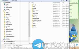 Как скачать с телеграмма контент python