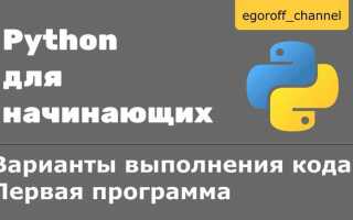 Как запустить код заново python