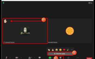 Как поднять руку в конференции zoom