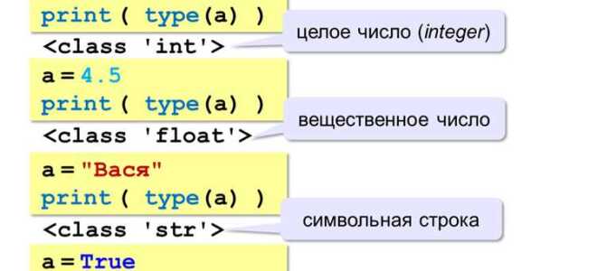 Сколько нужно времени чтобы выучить python