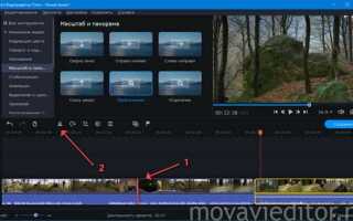 Как зациклить видео в movavi video editor