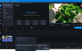 Как в видео вставить картинку поверх видео movavi