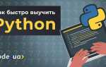 Как эффективно учить python