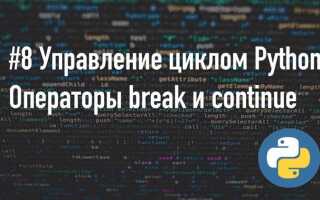 Для чего используется инструкция break python