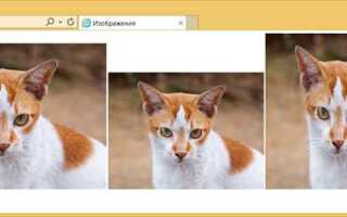 Как задать размер изображения в css
