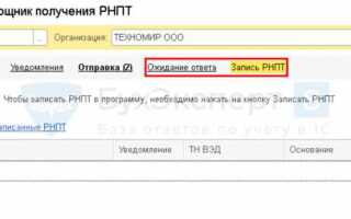 Что такое рнпт в 1с