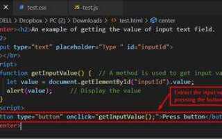 Как получить value input javascript
