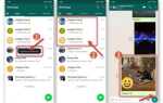 Как искать gif в whatsapp