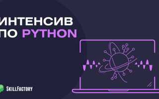 За какое время можно изучить python