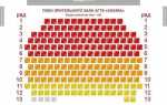 Как сделать интерактивную схему театрального зала php