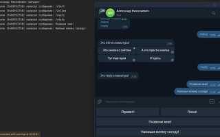 Как написать telegram бота