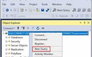 Как выполнить скрипт в sql server management studio