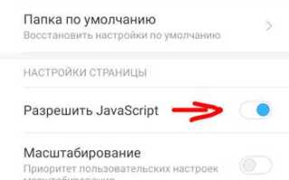 Как включить javascript в браузере на телефоне