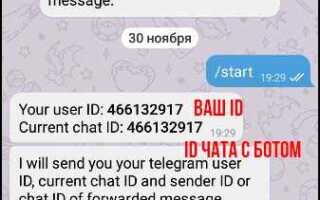 Как получить чат id telegram bot