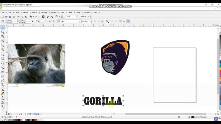 Где найти официальный установочный файл CorelDRAW 2020