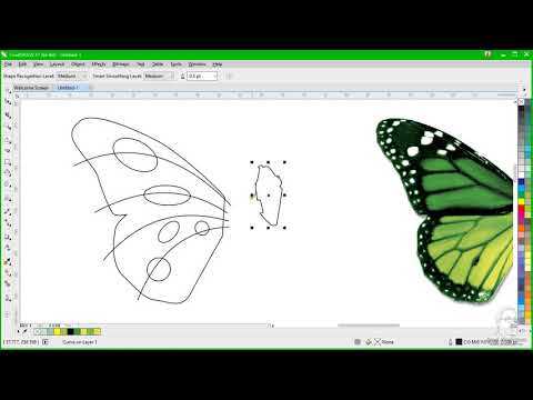 Как создать логотип в coreldraw