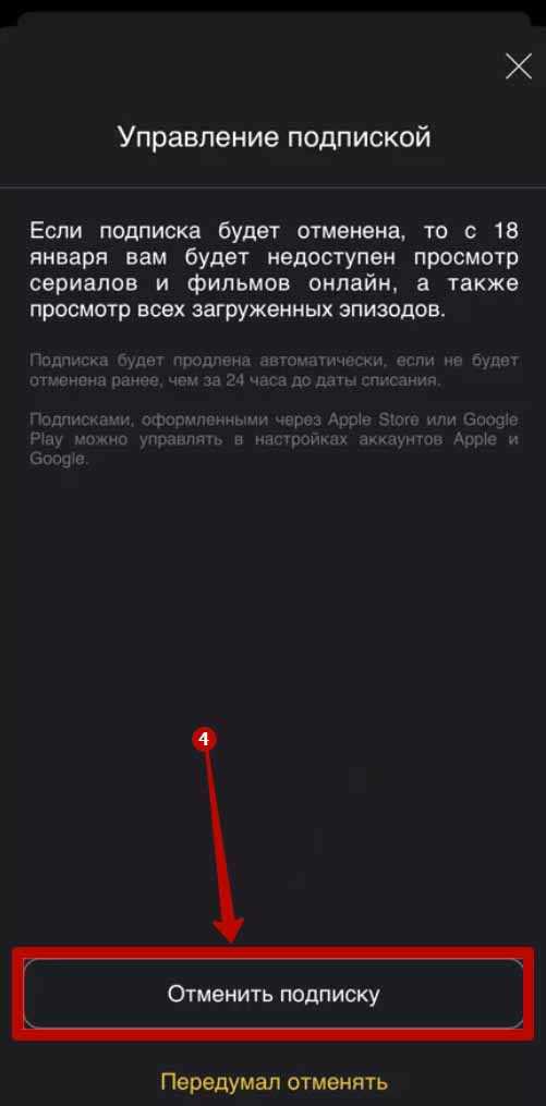 Как отменить ежемесячную подписку в zoom