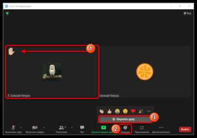 Как поднять руку в конференции zoom Как поднять руку в конференции zoom