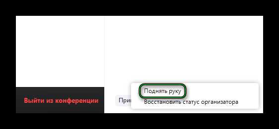 Где находится кнопка «Поднять руку» в мобильном приложении Zoom