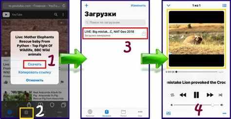 Восстановление удаленного видео из Viber на устройстве