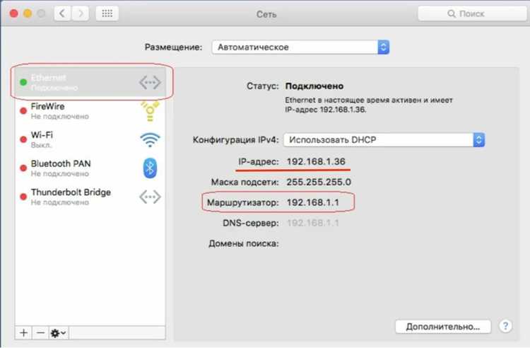 Различия между публичным и локальным IP участников