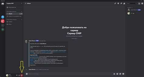 Что увидят пользователи если отключить discord Что увидят пользователи если отключить discord