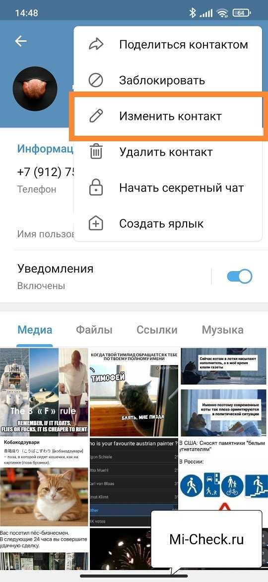 Как поменять имя в Telegram на iPhone