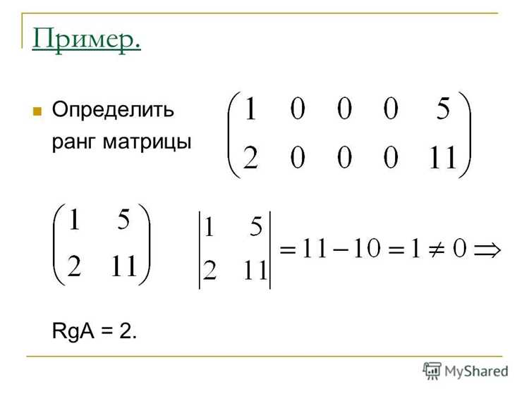 Как проверить размер и структуру матрицы перед вычислением ранга
