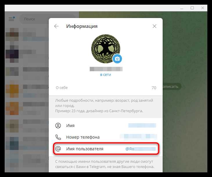 Получение имени через Web App Telegram
