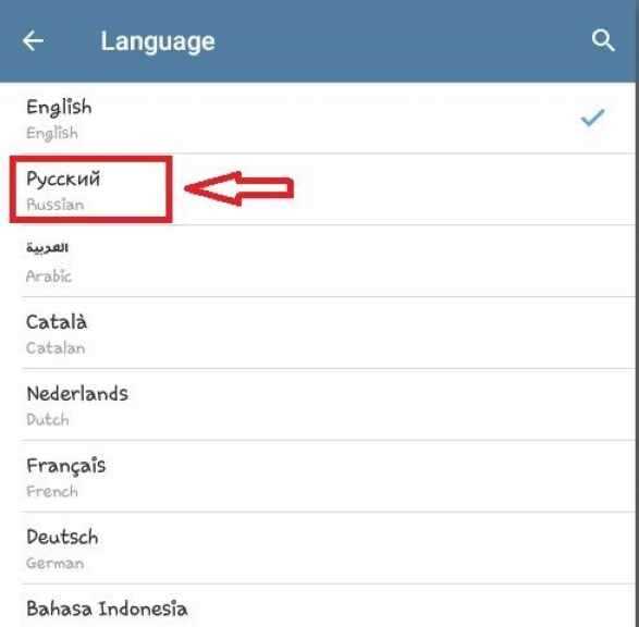 Использование встроенных языковых пакетов