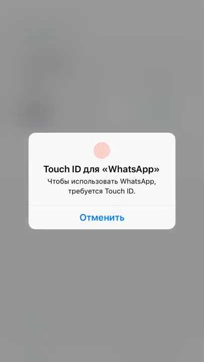 Шаг 5: Включите функцию блокировки с помощью Face ID