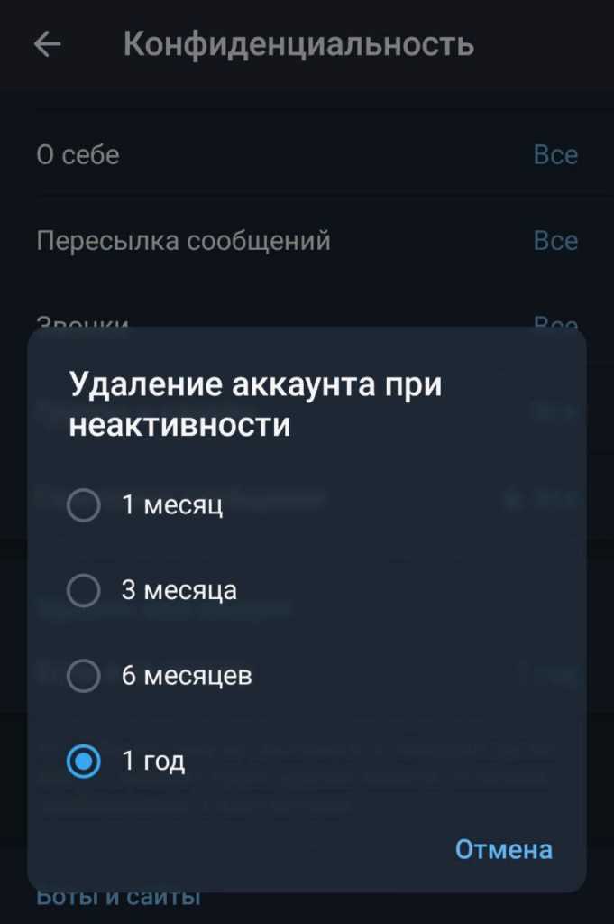 Проблемы и ограничения Telegram X, которые стоит знать пользователям