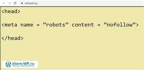 Где находится файл robots.txt в WordPress
