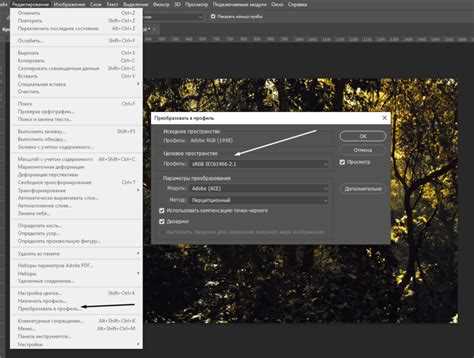 Где хранятся профили lightroom