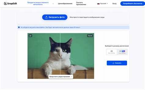Оптимизация размеров изображений без потери качества