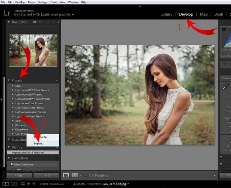 Организация и сортировка пресетов в библиотеке Lightroom