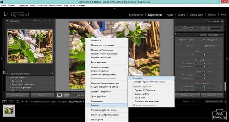 Основные инструменты Lightroom для коррекции освещенности и контраста