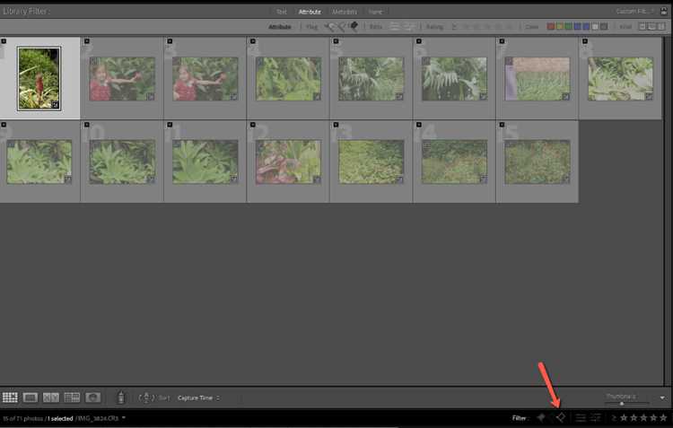 Как вернуть удаленные фото в Lightroom
