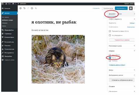 Выбор способа отображения: виджет, шорткод или шаблон