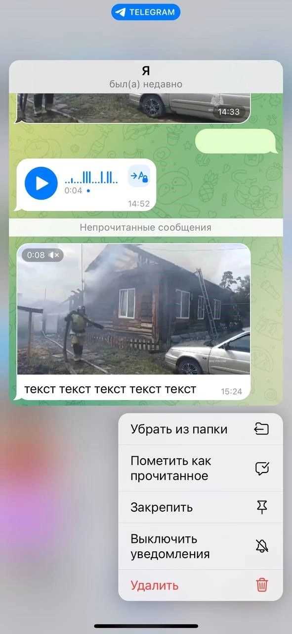 Заключение