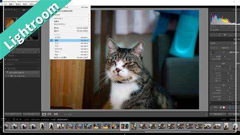 Почему lightroom не открывает raw Почему lightroom не открывает raw
