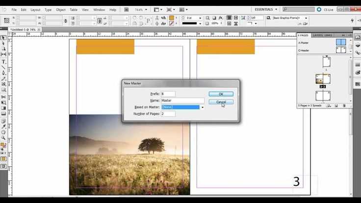 Как в indesign вставить картинку Как в indesign вставить картинку