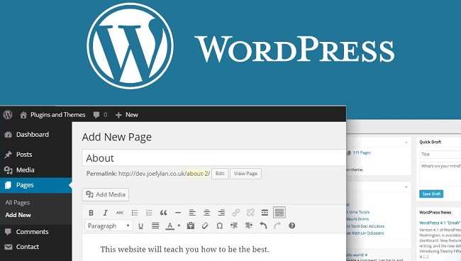 Что лучше tilda или wordpress Что лучше tilda или wordpress