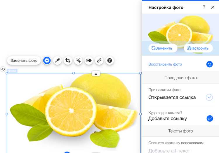 Как создать кнопку-ссылку на сайте Wix