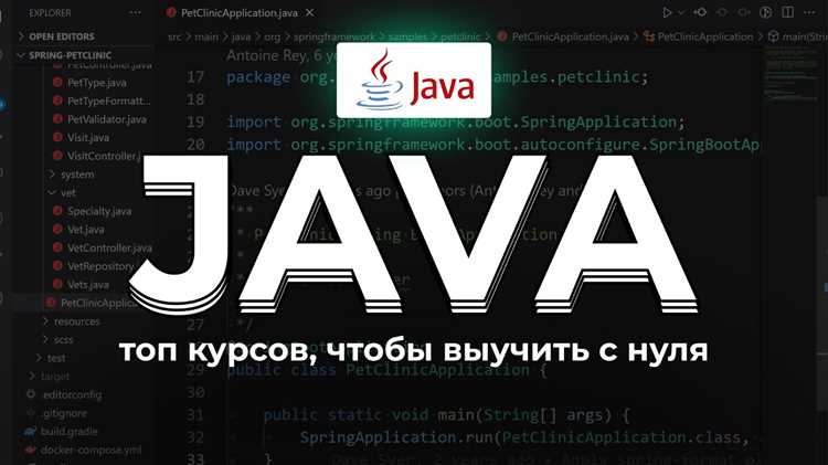 Как стать java программистом с нуля Как стать java программистом с нуля