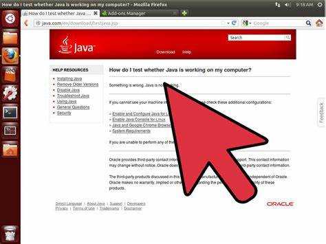 Использование графического интерфейса для проверки Java на Windows