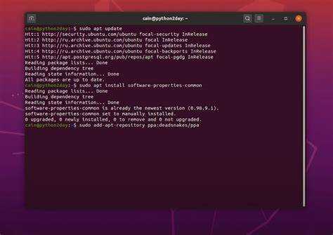 Использование команды whereis для локализации Python